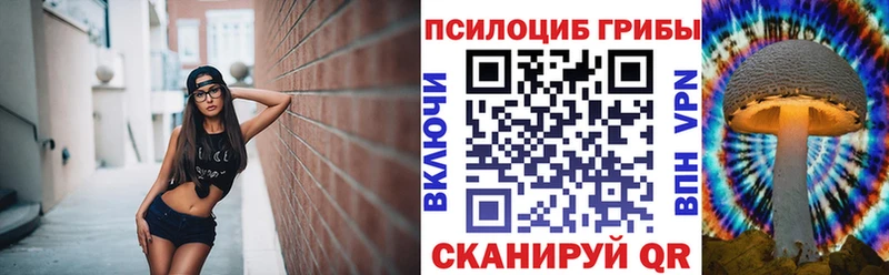 закладки  Вичуга  Псилоцибиновые грибы мицелий 