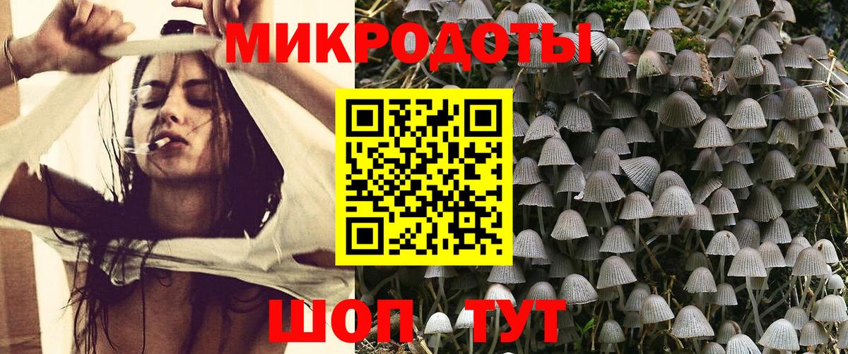 Вичуга  Псилоцибиновые грибы MAGIC MUSHROOMS  Вход с VPN 